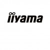IIYAMA